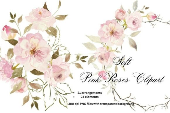 Download Soft Pink Roses Watercolor Clipart PNG - Soft pink Collection