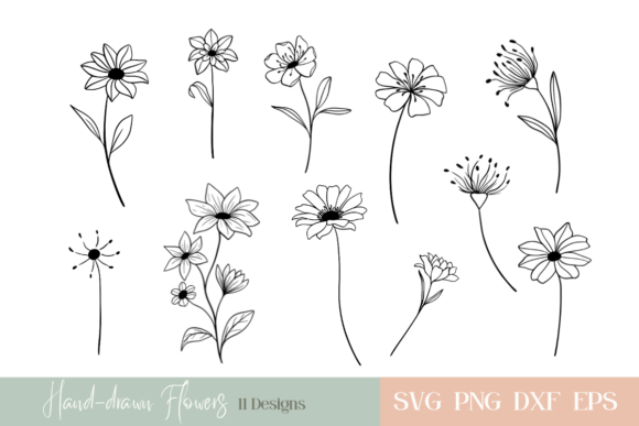Download Hand-drawn Flowers Bundle - Bundle Collection