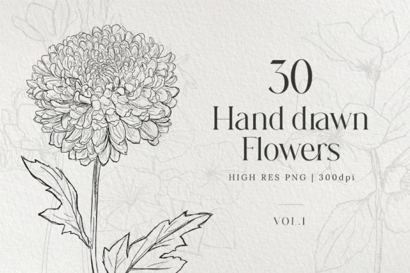 Download Hand Drawn Flowers Bundle - Bundle Collection