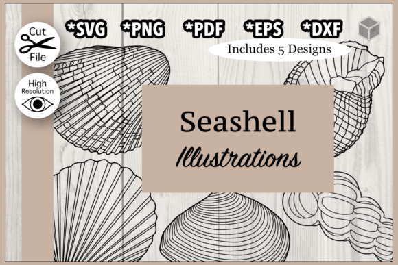 Download Detailed Seashells Outline Bundle - Bundle Collection
