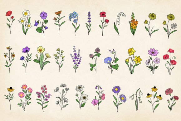 Download Hand-drawn Minimal Wildflowers Bundle - Premium Resources