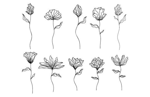 Download Collection of Hand Drawn Flowers - Hand drawn Collection