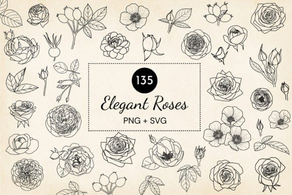 Download Hand-drawn Roses SVG Vector Bundle - Bundle Collection