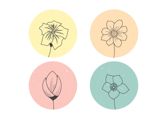 Download Hand Drawn Flowers Illustration - Hand drawn Collection