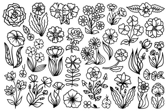 Download Hand Drawn Flowers - Hand drawn Collection