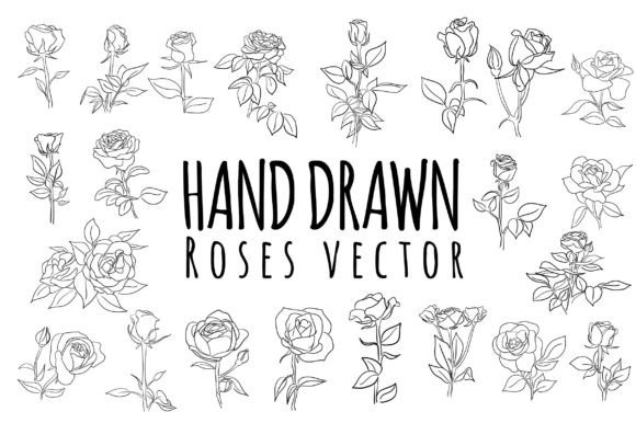 Download Line Hand Drawn Roses Flower - Hand drawn Collection